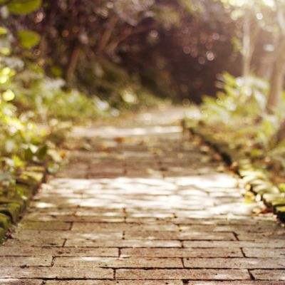 橄榄球魔鬼训练